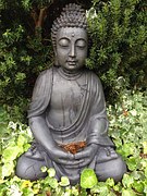 buddha